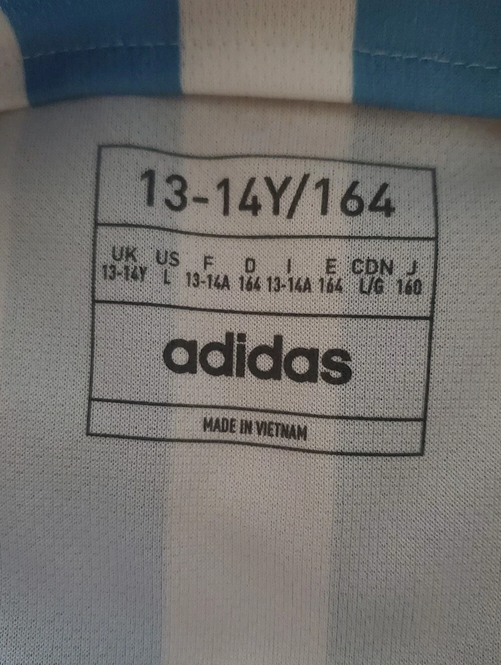 Adidas Argentina 2022 Soccer Blue & White Striped Youth Soccer Jersey (L/13-14Y)